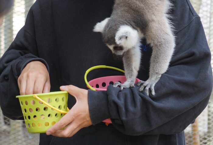 いたずらに ちゅうい！