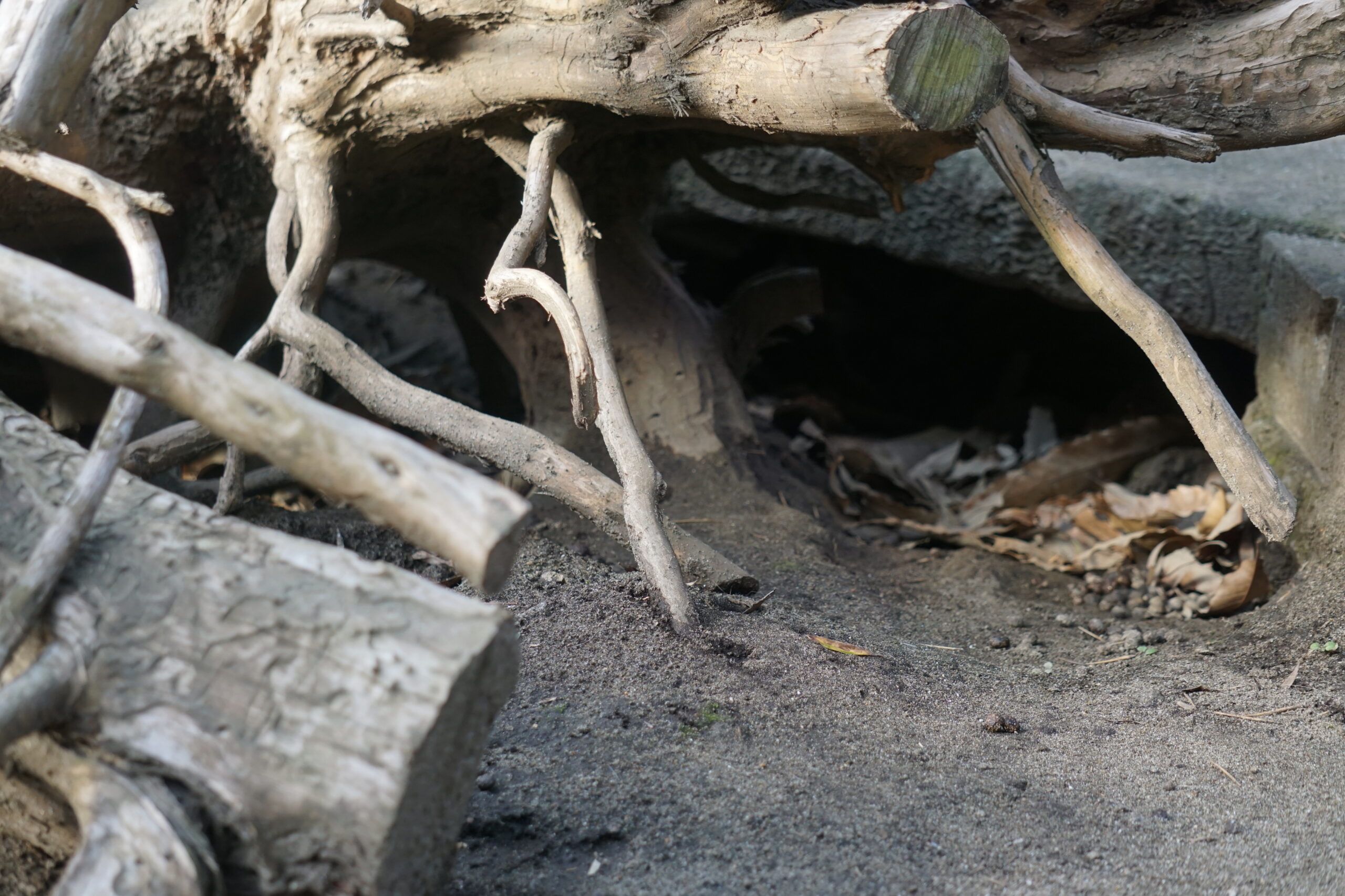 すあなを こわさないで