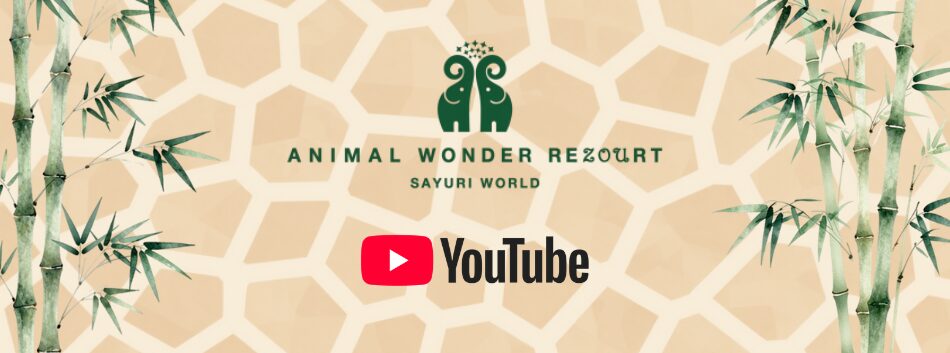 【公式】YouTubeチャンネル