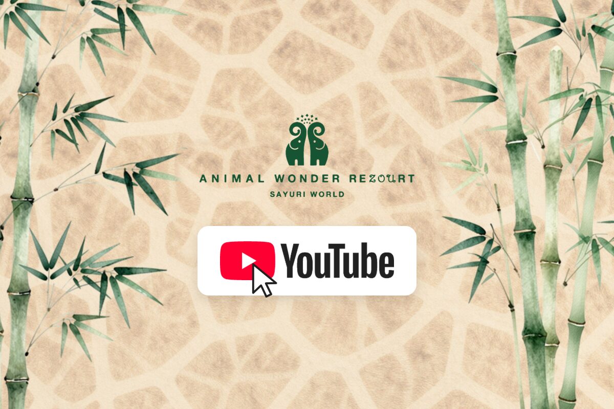 公式YOUTUBE